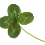Happy St. Patrick's Day