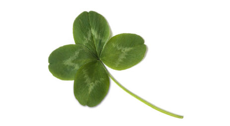 Happy St. Patrick's Day