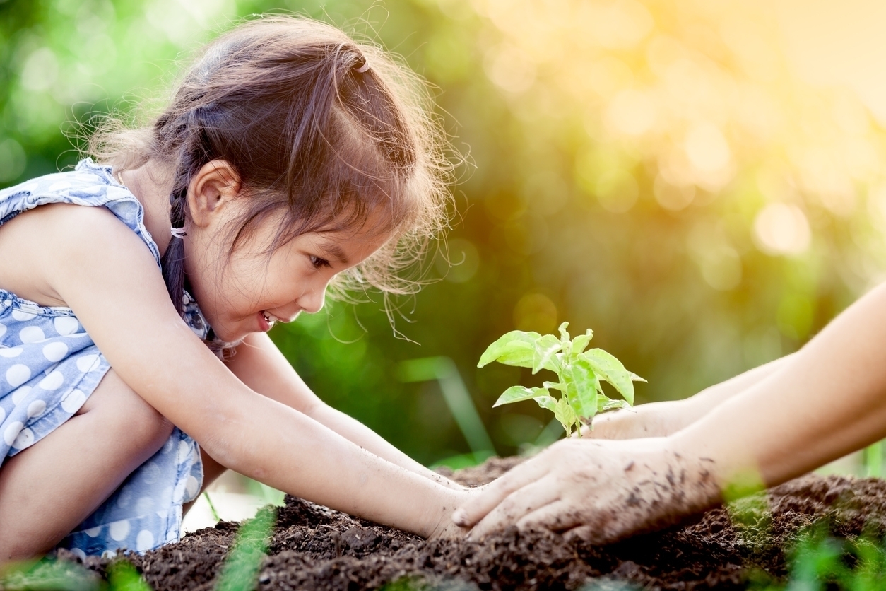 How nonprofits should use the World Environment Day for its fundraising efforts