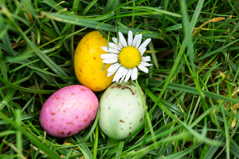Eggs-cellent Virtual Fundraising Ideas for Easter