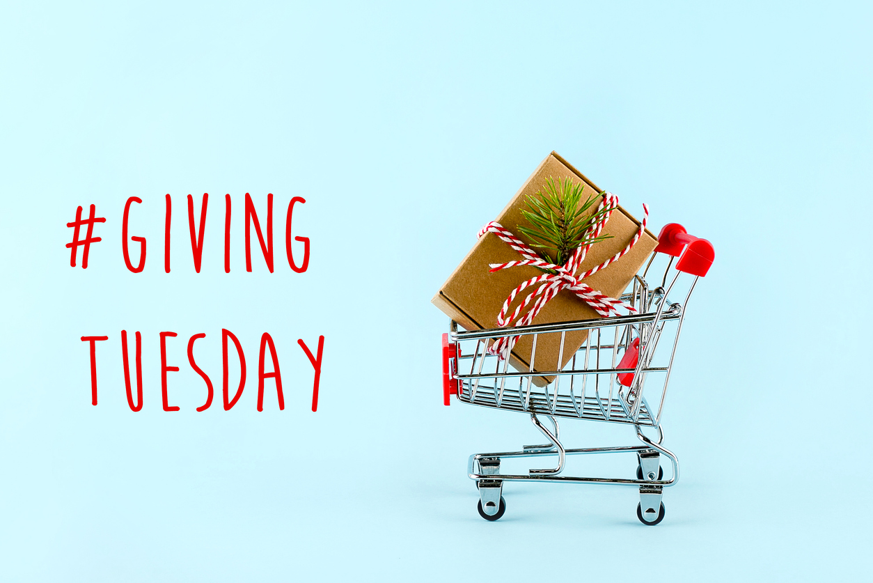 5 Easy Giving Tuesday Fundraising Ideas to try in 2021