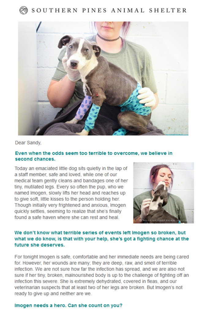 Southern Pines Animal Shelter