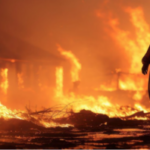 LA wild fires